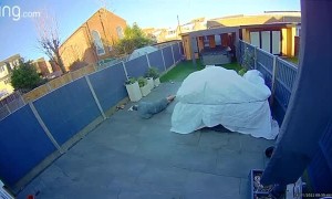 Dad Tries to Catch Dog, but Slips Instead