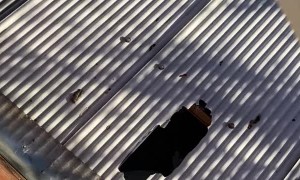 Cat Jumps Out Window and Falls Through Roof