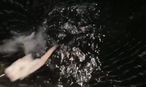 Caught Squid Surprises Man