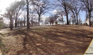 Dog Helps to Pack Away Christmas Lights