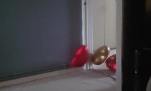 Bunny Stages Speedy Balloon Heist