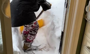 Woman Slips While Shoveling Snow