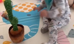 Talking Cactus Makes Interesting Sounds