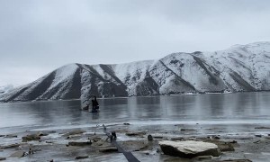 Courageous Deer Rescue on Thin Ice