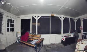 Brave Man Saves His Dogs From Bear Attacks