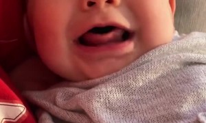 First Words Are Not What Mom Asked For