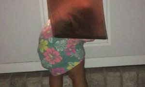 Kiddo Makes Escape Through Doggy Door