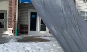 Moving Day Made Easy