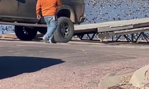 Truck with Train Horn Attempts to Move Geese