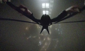 Leaping Off a Building into Thick Fog