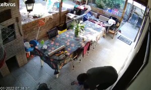 Father's Quick Reflexes Catch Falling Child