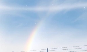 Sun Dogs and Snowbows