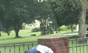 Man Rescues Fawn Stuck in Fence