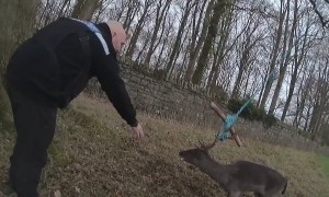 Police rescue buck tangled in rope swing