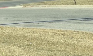 Cowboy Moseys Through McDonald's Drive-Thru on Horseback