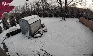Man Slips on Patch of Ice