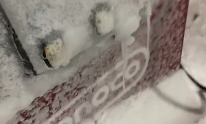 Frigid Weather Freezes Gas Pump