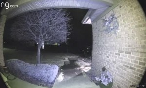 Husband Falls on Ice and Nonchalantly Carries On