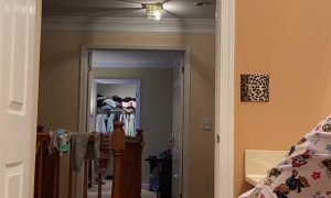 Kiddo Falls for TikTok Poop Challenge Prank