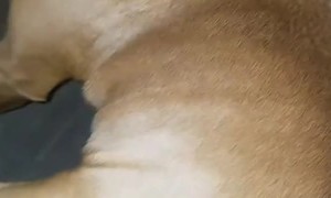 Bubba Russell Loves Baby Wipes