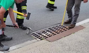 Kind People and Fire Department Rescue Kitten in Street Gutter