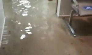 Devastating footage shows flooding in Porto Alegre hospital 