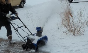 Happy Pup Plays  with Powder