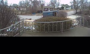 Delivery Driver Flees From Barking Dogs