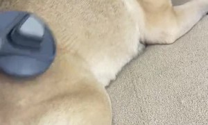 Making a Pug Hair Hat