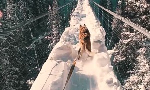 Skiing in Suspense