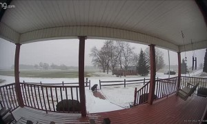 Girl Goes Down After Slipping on Ice