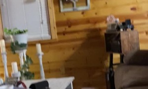 Playful Pupper Aims True