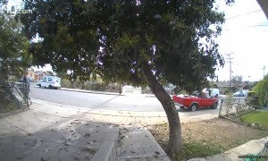 Potential Porch Pirate Caught on Doorbell Cam