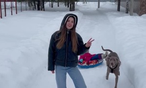 Ruff Start to Winter Games