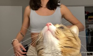 It's Peanut's World and we are Just Living in it