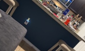 Playing Pup Tries to Catch Person By Crossing Counter