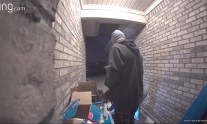 Ending a Rough Day with a Fall