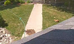 You Can't Cry Over Spilt Milk