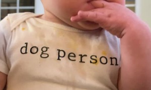 Baby Belly Laughing at Dad's Funny Faces