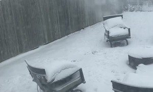 Rude Neighbor Sends Snow Over Fence