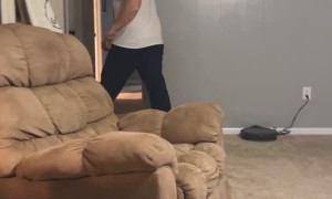 Cheer for Chiefs Takes Out Fan