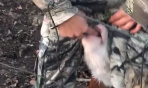 Bottle Calf is Udderly Disappointed