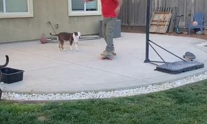 Skateboarding Dad Dodges Toddler After Crash