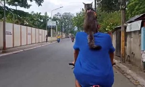 Cat Goes for Ride on Biking Human's Shoulders