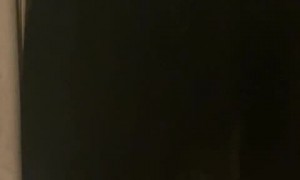 Cheetah Slams Into Window While Charging at Unsuspecting Baby