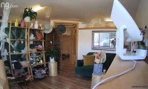 DoorDash Driver Appears to Steal Jewelry