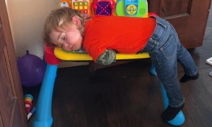 Play Hard, Nap Harder