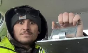 Squirrel Release Has Guy Squirming