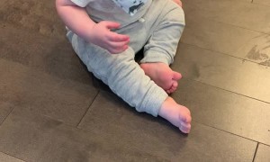 Boy Laughs About Making a Mess in Mom's Shoe
