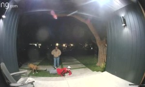 Man Backs Up and Biffs It on the Stairs